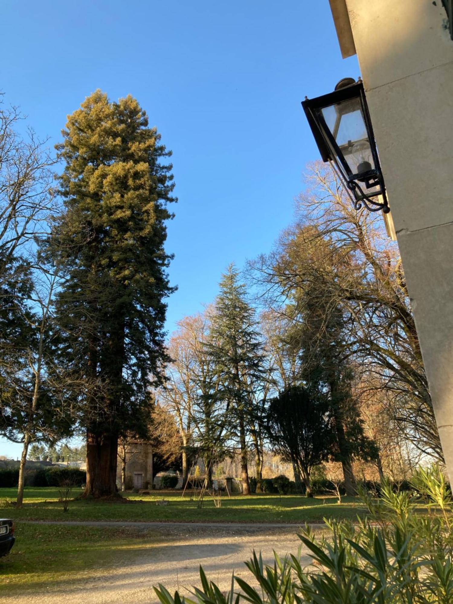 Château De Sur Bonnieure *